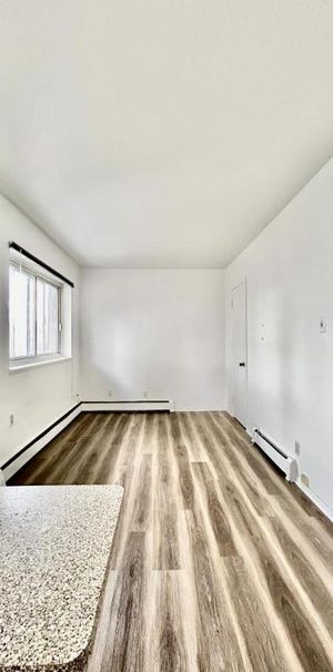 1 CH - 1 SDB - Montréal - $1,450 /mo - Photo 1