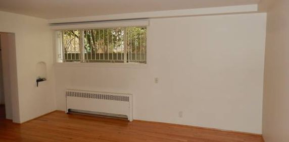 Studio Suite West of Denman - Photo 2