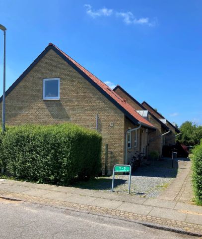 Brorsonsvej, 6270, Tønder - Photo 4