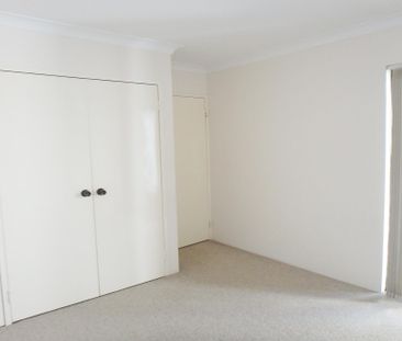 YOUR PERFECT VICTORIA PARK PAD WITH COURTYARD AND CONVENIENCE - Photo 3