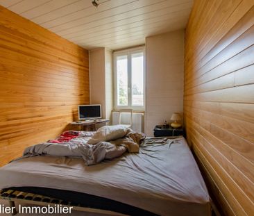 Location Appartement 1 pièce 36m² CHATTE 38160 - Photo 1