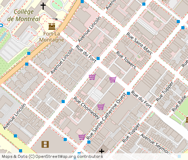 2070 de Maisonneuve | 2070 Boulevard de Maisonneuve Ouest, Montreal - Photo 1