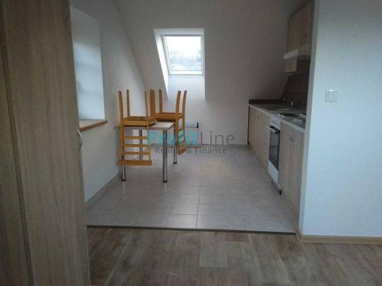 Pronájem bytu 1+kk 53 m2 - Fotografie 1