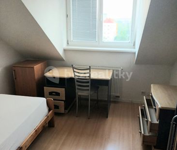 Pronájem bytu 3+1 • 15 m² bez realitkyŠumavská, Brno - Žabovřesky, ... - Photo 2