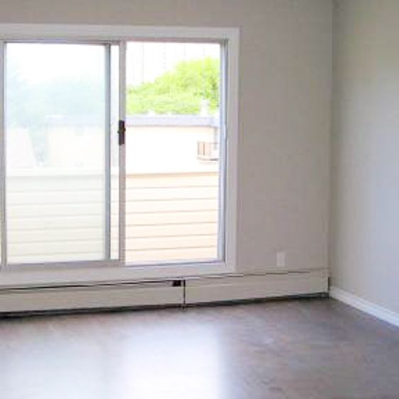 1 Bedroom Condo For Rent In Oliver: Pet Friendly - Photo 1