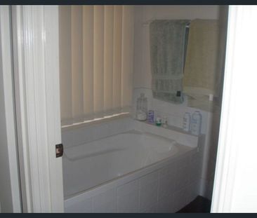 Great location Neat & Tidy 3 Bed, 1 Bath - Photo 2