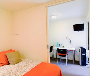 1 Bedroom with terrace - Photo 4