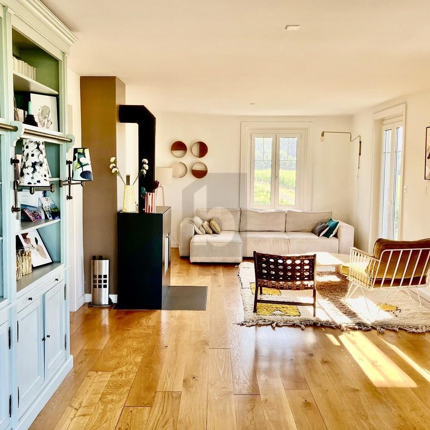 SPLENDIDE SPACIEUSE AVEC VUE LAC ET MONTAGNES - Foto 1