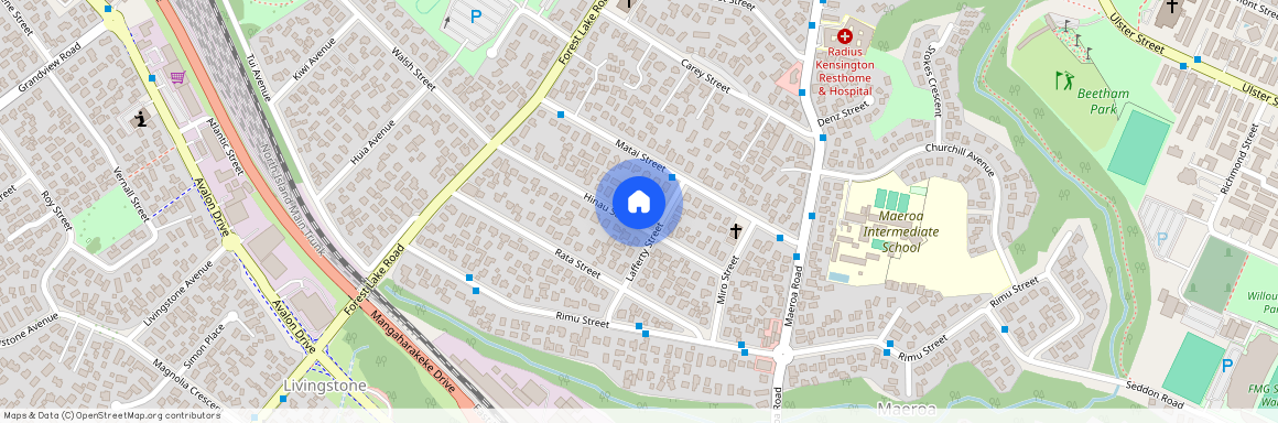 16 Hinau Street, Maeroa, Hamilton City