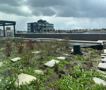 For Lease - 10415 Yonge Street Unit# 419, Richmond Hill, Ontario - Photo 6