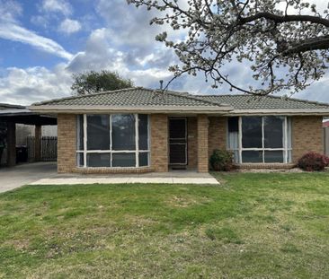 21 Romney Crescent, SHEPPARTON VIC 3630 - Photo 3