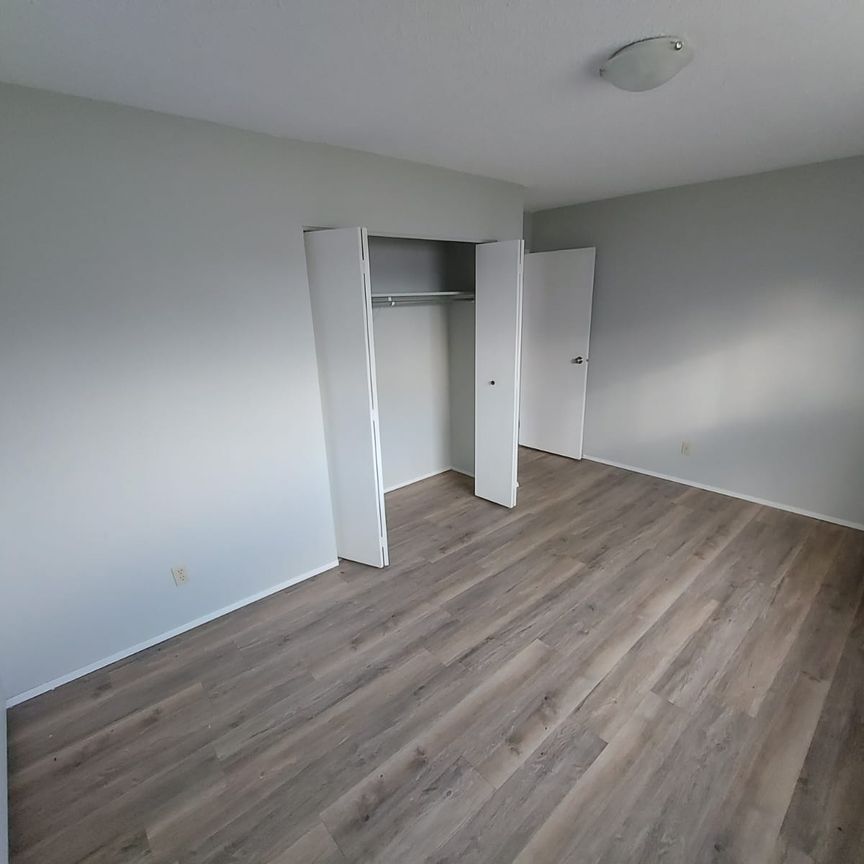 Fully Renovated Pet Friendly Unit - Photo 1