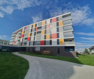 2.5 pièces au rez-de-chaussée - Photo 5