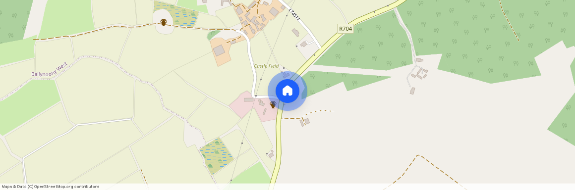 Ballynooney, Mullinavat, Co. Kilkenny – X91 NX80