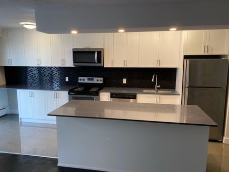 Beautifully renovated 1 Bedroom Bath Etobicoke Steps f - Photo 5