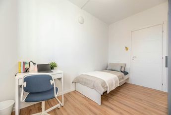 Vicolo Pastori, Padova, Veneto 35131