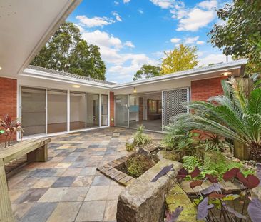 239 Peats Ferry Road, Hornsby NSW 2077 - House For Rent | Domain - Photo 3