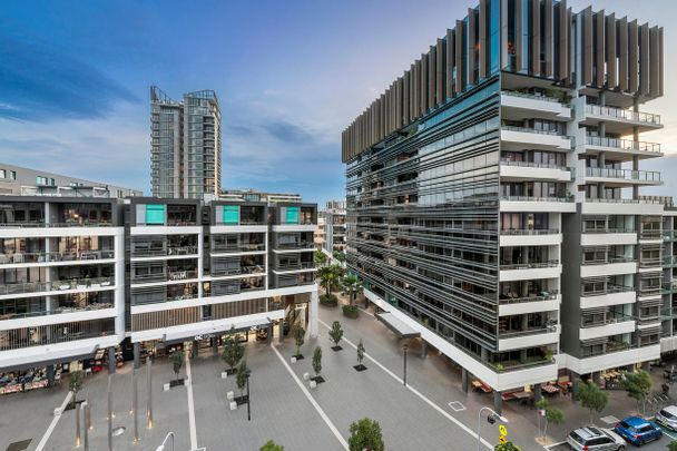 Fabulous, Luxury Inner-City Living - Photo 1