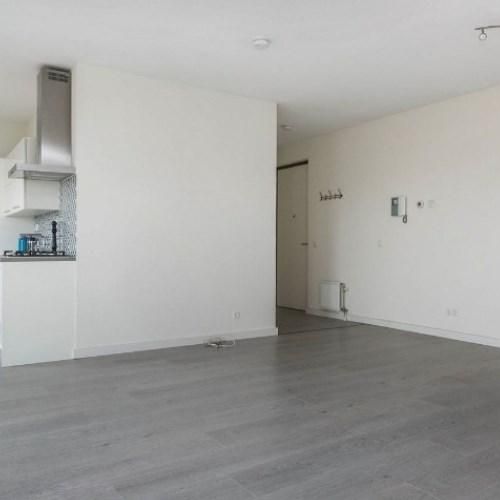 Teakhout, 1507 EC Zaandam, Nederland - Foto 1