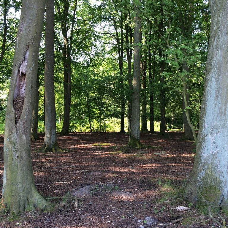 Höstgatan 25 - Foto 1