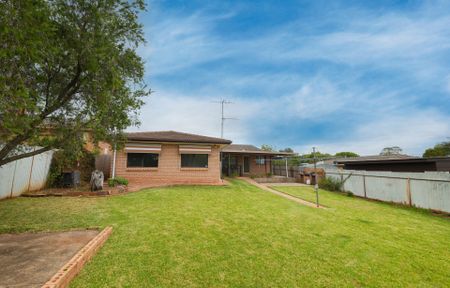 Ray White Real Estate Parkes - Photo 5