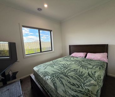 Modern Comforts, Solar & Low-Maintenance Yard - Photo 5