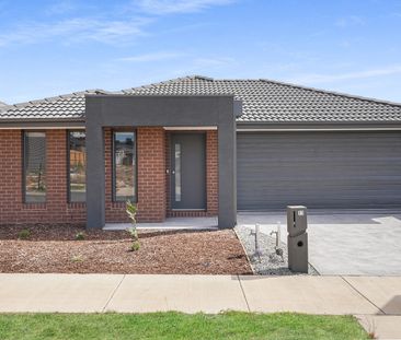 Light-Filled Family Home in Mount Duneed - Photo 3