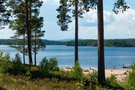 Skolgatan 11 A - Foto 5