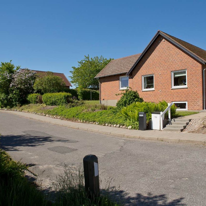 Clematisvej m. fl. - Foto 1