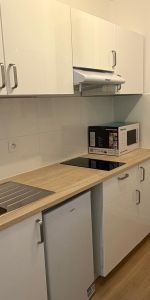 Location Appartement 1 pièce 28m² BORDEAUX 33000 - Photo 3