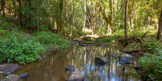 Goonengerry, NSW 2482 - Photo 3