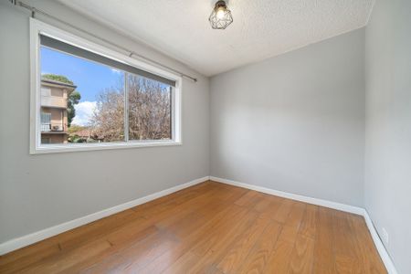Light Filled updated Two Bedroom - Photo 2