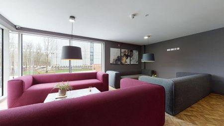 Studio to rent - Photo 5