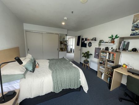 7 Bedrooms in Mt Cook! - Photo 5