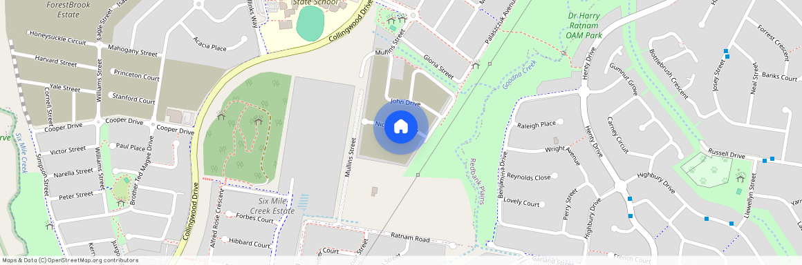 19 Nicholas Street, Collingwood Park QLD 4301