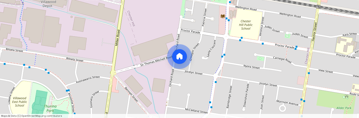 110 Orchard Rd, NSW 2162, Chester Hill