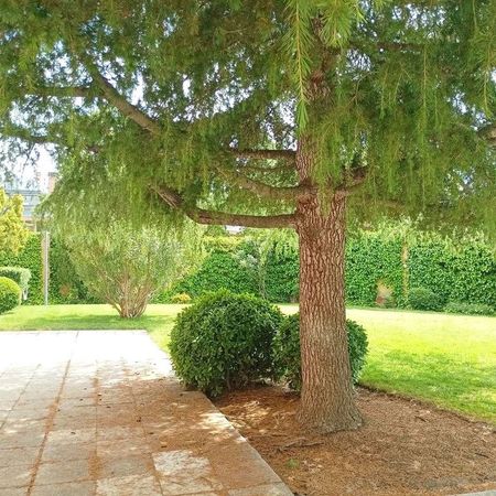 Luxury Apartment for rent in Las Rozas de Madrid, Autonomous Region of Madrid - Foto 5