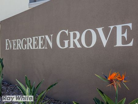 Two-Level Townhome in Evergreen Grove - Photo 3