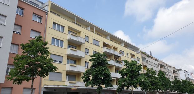 3 Zimmer, 67 m², 1. Stock - Photo 1