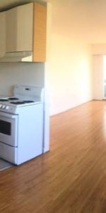 SPECIAL Move-in incentive! Renovated 2 Br+2 full bath in Kitsilano! - Photo 3