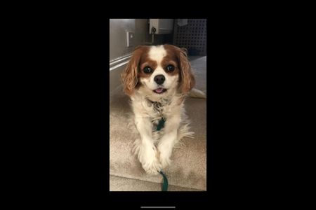 Room in a Shared Flat, Blenheim Road, BS6 - Photo 5