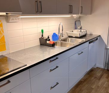 Selma Lagerlöfs Parkstråk, Hisings Backa - Foto 5