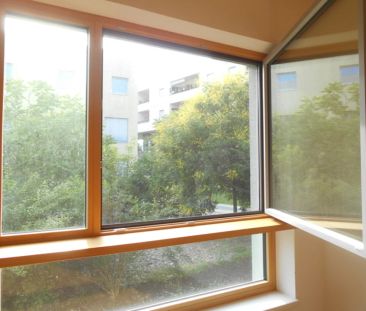 Peter Rosegger großzügige 2Zi Terrasse-Garten ruhig,ökologisch - Photo 6