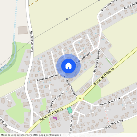1741, Cottens, Route De Belmont