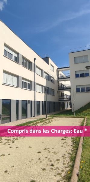 Location Appartement 2 pièces 29m² AUZEVILLE TOLOSANE 31320 - Photo 1