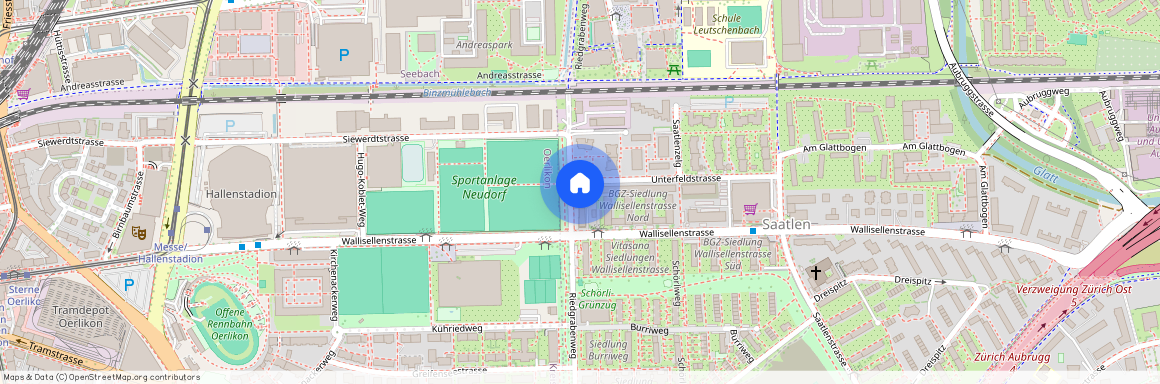 8050, Zürich, Wallisellenstrasse, 247