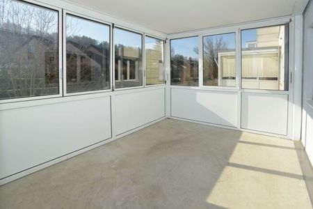 Lake Greifensee within reach - Foto 3