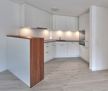 In the middle of the countryside including Pilatus view with evenin... - Foto 2