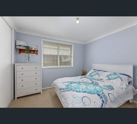 87 Manilla Road, Tamworth, NSW 2340 - Photo 5