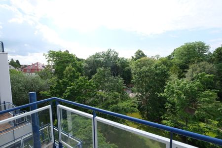 Einziehen und Wohlfühlen – helle + moderne 3-Zi. Wohnung in top Lage mit TG-Stellplatz – Stadtpark - Foto 3